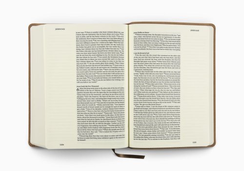 ESV Single Column Journaling Bible, Large Print (TruTone, Nubuck Caramel, Wildflower Design)