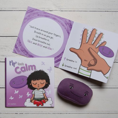 Pip Feels Books Set 2 - Excited, Jealous, Scared, Calm