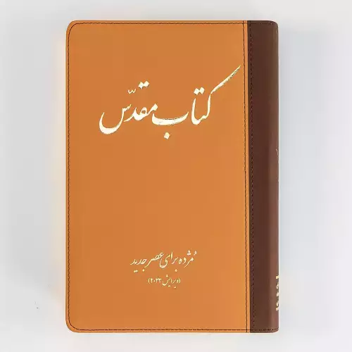 Today's Persian Version Revised Deluxe (Brown)
