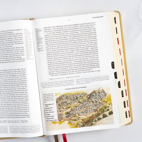 CSB Baker Illustrated Study Bible, Khaki, Indexed