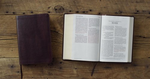 ESV Giant Print Personal Size Bible, Red Letter (TruTone, Mahogany)