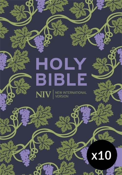 NIV Holy Bible, Purple, Paperback, Pack of 10