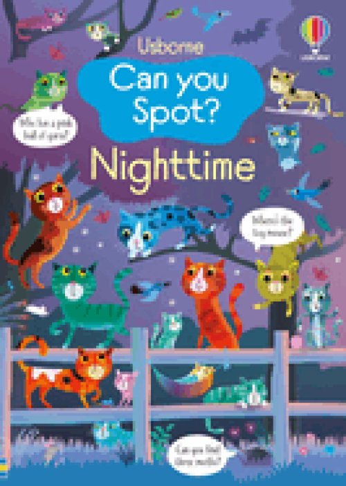 Can You Spot? Nighttime