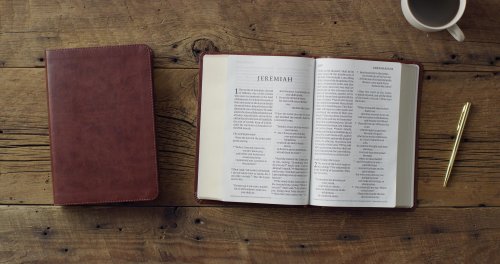 ESV Giant Print Personal Size Bible, Red Letter (TruTone, Chestnut)