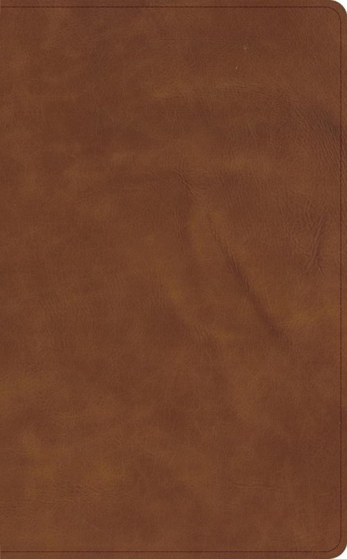 CSB Single-Column Wide-Margin Bible, Tan Calfskin