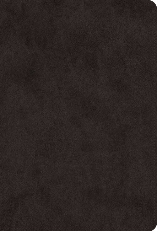 ESV Giant Print Value Thinline Bible (TruTone, Black)