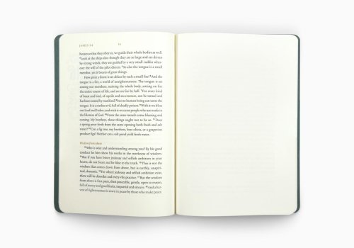 James - ESV Illuminated Scripture Journal
