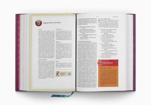 ESV The Biggest Story Holy Bible for Kids (Hardcover)