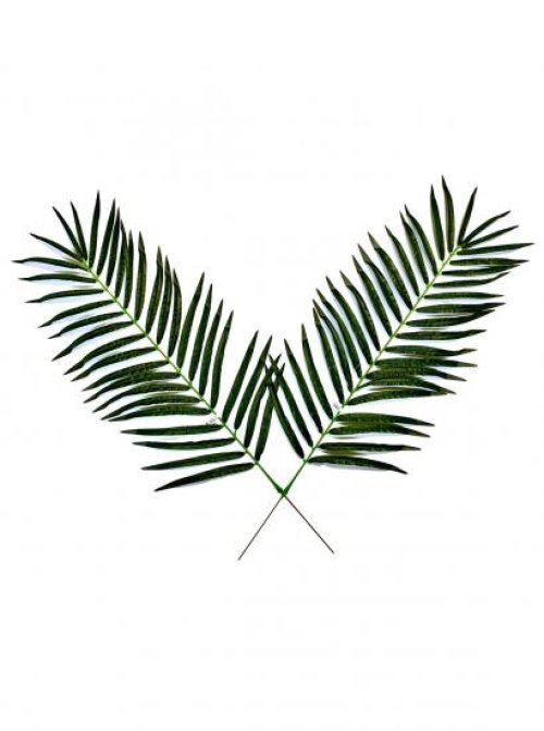 4 Foot Artificial Palm Branch - Single