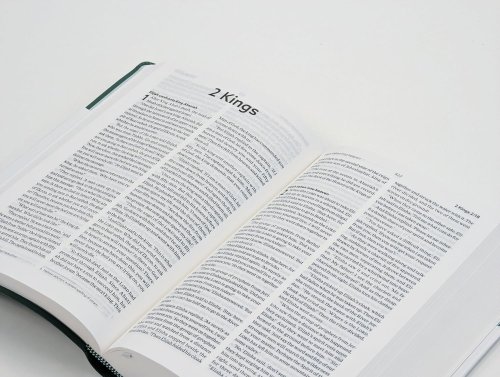 NLT Holy Bible, Sage Green Flexiback, Leather-Feel, Debossed Detailing, British Text, NLT New Living Translation, Flexiback, Standard size