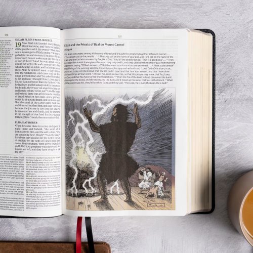 NASB Study Bible, Black Genuine Leather