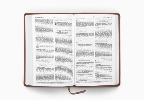ESV Premium Church Bible (TruTone, Brown)