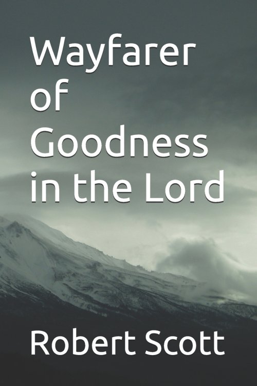 Wayfarer of Goodness in the Lord