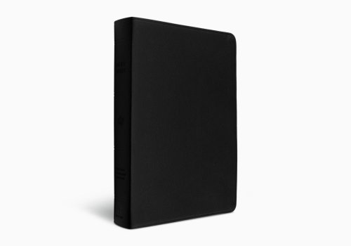 ESV Giant Print Value Personal Size Bible (TruTone, Black)