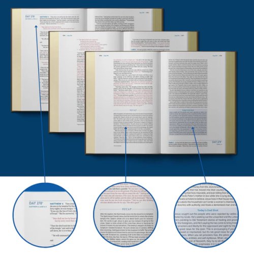 The Bible Recap 365-Day Chronological ESV Study Bible, Brown Imitation Leather