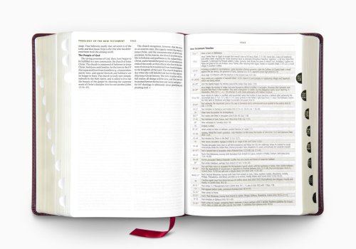 ESV Study Bible, Large Print, Thumb Indexed (TruTone, Mahogany, Trellis Design)