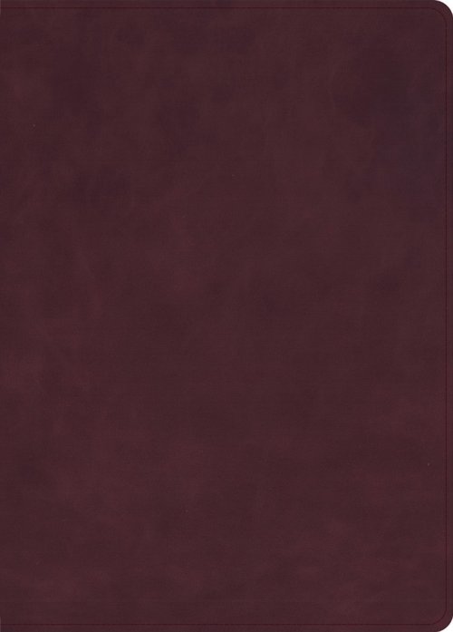 KJV Single-Column Wide-Margin Bible, Marbled Burgundy