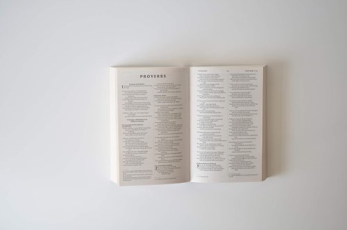 NIV Economy Bible, Blue Paperback, Anglicised Edition