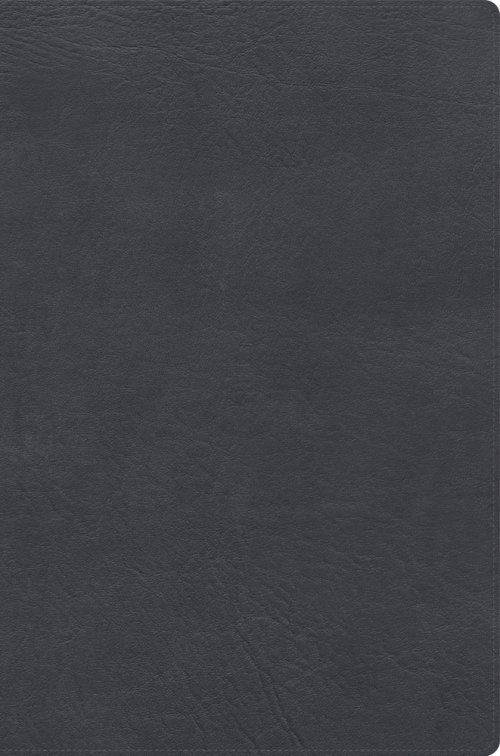 RVR 1960 Biblia De Estudio Letra Gigante, Gris, Símil Piel