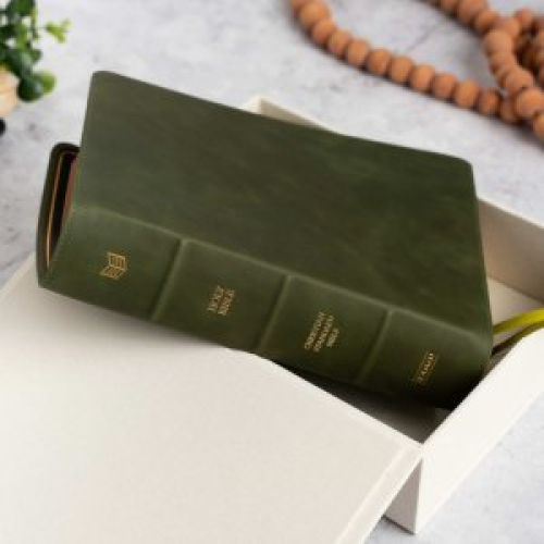 CSB She Reads Truth Bible, Holman Handcrafted Collection, Olive Premium Calfskin