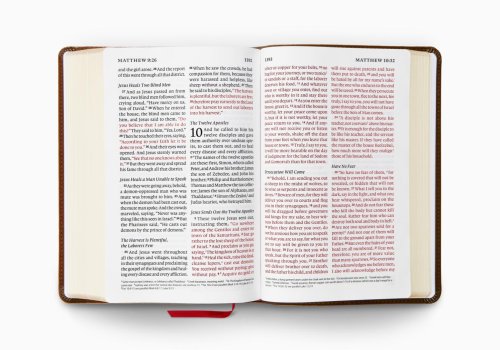 ESV Giant Print Personal Size Bible, Red Letter (TruTone, Brown, Engraved Mantel Design)