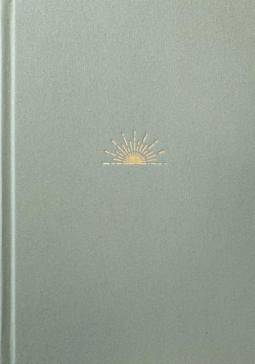 NLT DaySpring Hope & Encouragement Bible, Green, Hardback, Devotional, Reflections, Reading Plans, Wide Margin, Journalling, Ribbon Markers