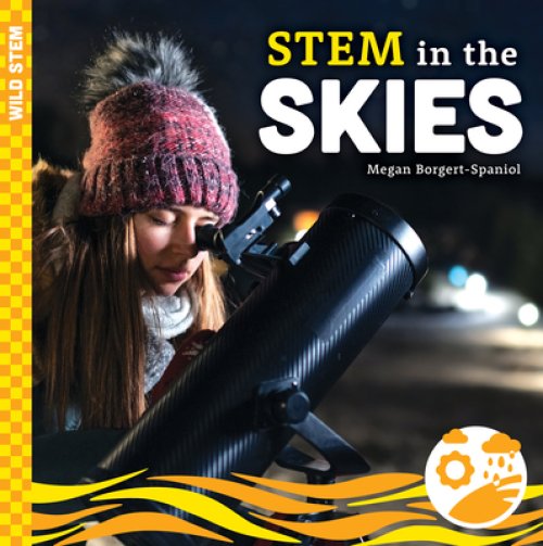 Stem In The Skies