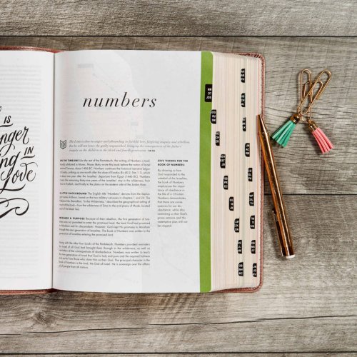 CSB She Reads Truth Bible, , Rose Gold, Imitation Leather, Thumb Indexed, Devotionals, Wide Margins, Journalling, Illustrated, Maps, Book Introductions, Topical Index, Ribbon Markers