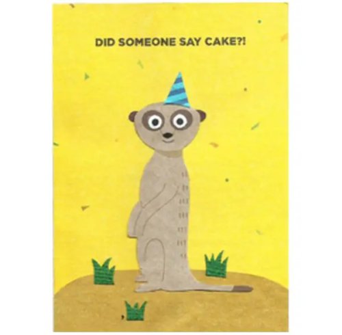 Meerkat Birthday
