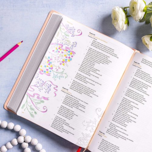 CSB Illustrator's Notetaking Bible, Large Print Edition