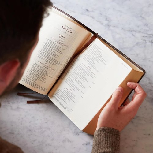 NKJV, Journal the Word Reference Bible (Brown Leathersoft over Board, Red Letter, Comfort Print)