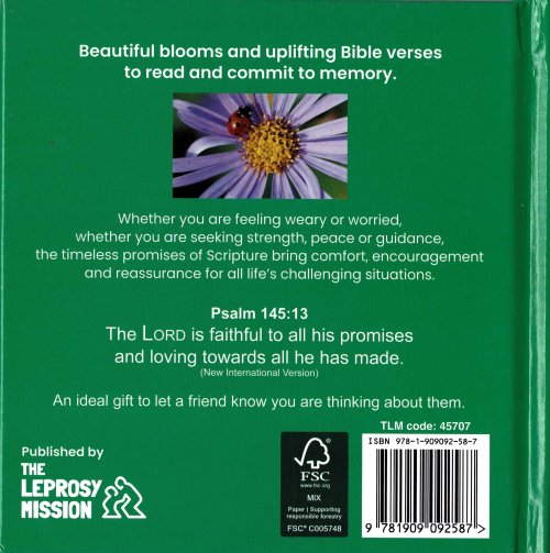 A Bouquet of Promises Book