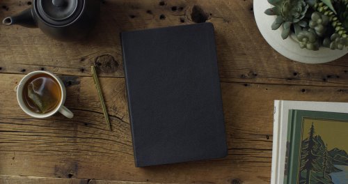 ESV Giant Print Value Thinline Bible (TruTone, Black)