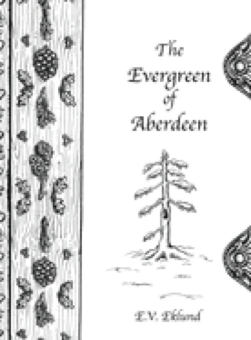 The Evergreen of Aberdeen