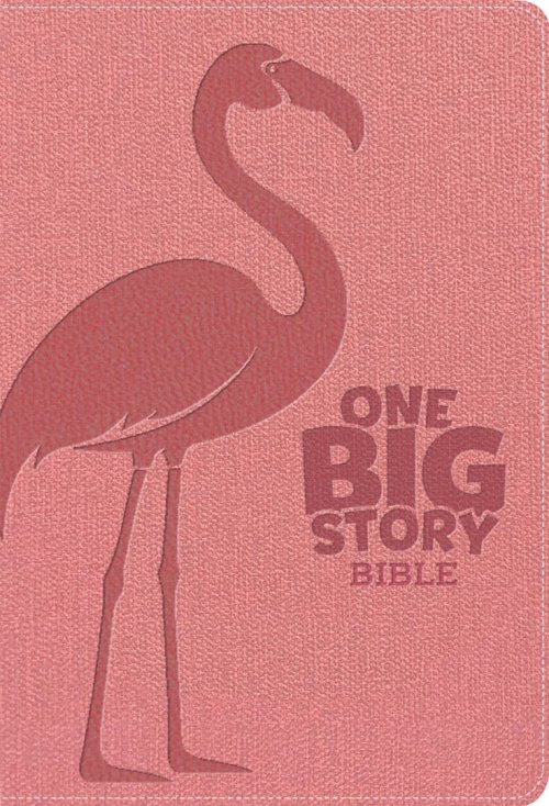KJV One Big Story Bible, Easy-to-Read Optimal Type, Pink