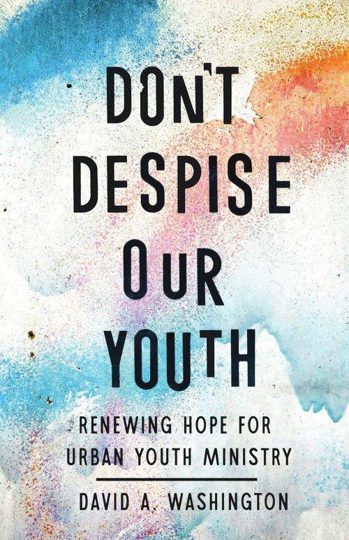 Don't Despise Our Youth: Renewing Hope for Urban Youth Ministry