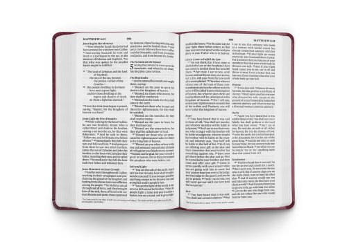 ESV Large Print Value Thinline Bible (TruTone, Raspberry, Floral Design)