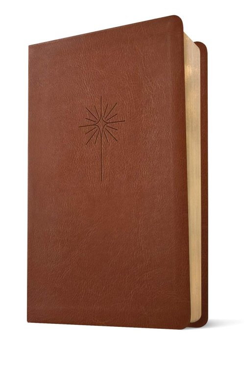 Bíblia Sagrada NVT Slim Letra Grande com Filament (LeatherLike, Brown)