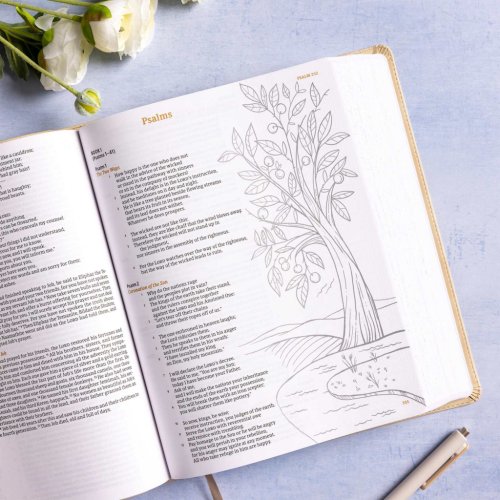 CSB Illustrator's Notetaking Bible, Large Print Edition