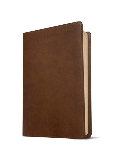 NLT Thinline Reference Bible, Filament Enabled (LeatherLike, Rustic Brown, Indexed, Red Letter)