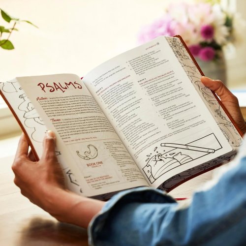 The Sketchbook Bible: The Complete Bible with Hundreds of Illustrations (NKJV, Hardcover, Red Letter, Comfort Print)
