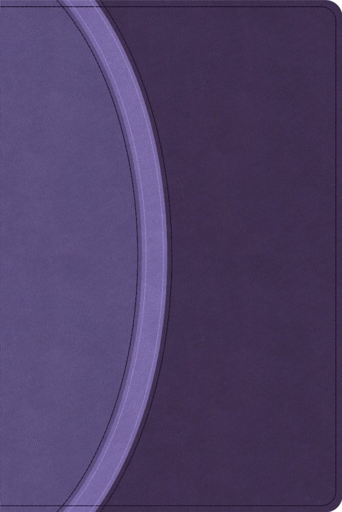 CSB Rainbow Study Bible, Purple Leathertouch
