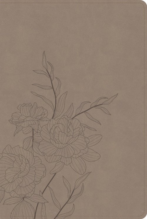 CSB Large Print Thinline Bible, Digital Study Edition