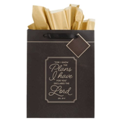 Gift Bag LG Portrait I Know the Plans Jer. 29:11