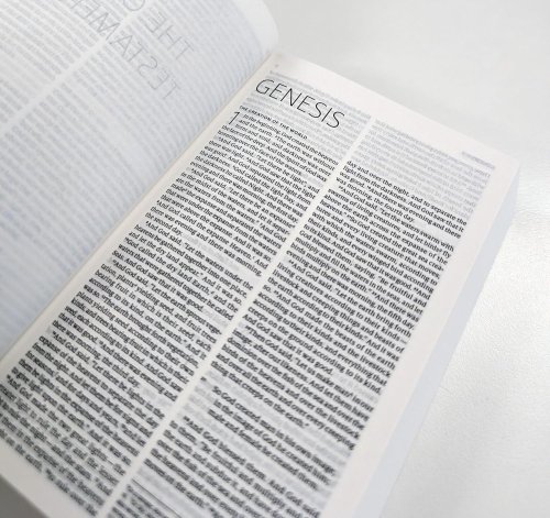 ESV-CE Catholic Bible, Black Paperback, Dove Illustration, British Liturgical Bible, ESV-CE, Paperback, Standard size