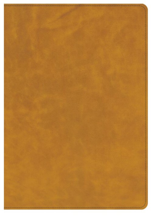 CSB Lumen Dei Bible, Lux Verbi: Verse-By-Verse Reference