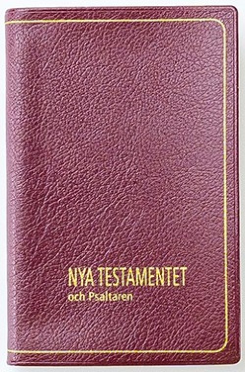 Swedish New Testament with Psalms - Modern Translation