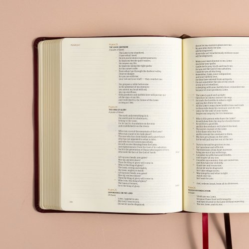 CSB Notetaking Bible, Hosanna Revival Edition, Heidelberg Burgundy LeatherTouch