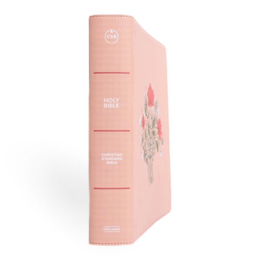 CSB Illustrator's Notetaking Bible, Large Print Edition