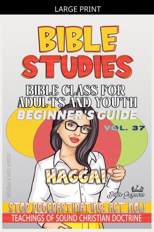 Bible Class for Adults and Youth: Beginner's Guide -  Haggai